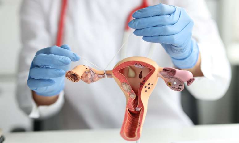 Nova lei em vigor: é possível reverter vasectomia e laqueadura? -