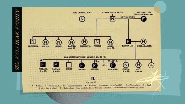 A &aacute;rvore geneal&oacute;gica de Martin Kallikak era baseada em informa&ccedil;&otilde;es fict&iacute;cias