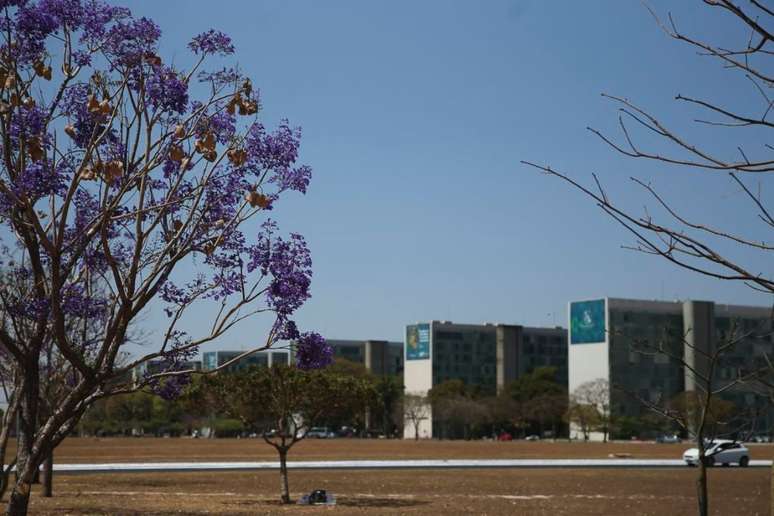 O Observatório de Pessoal também apresenta um recorte sobre pessoas com deficiência e de mulheres negras e indígenas na liderança pública