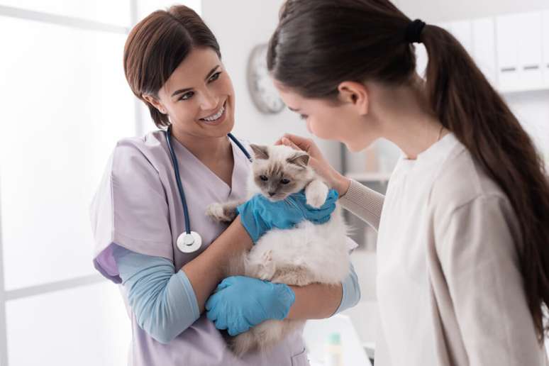 Existem maneiras de gerenciar a doença e prolongar a vida do gato