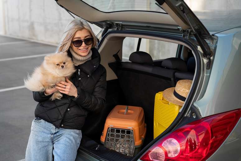 Detran-SP orienta sobre como transportar pets no carro.