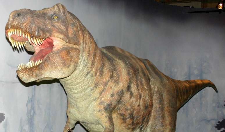 Estudo revela que bebê de Tiranossauro rex tinha tamanho de um