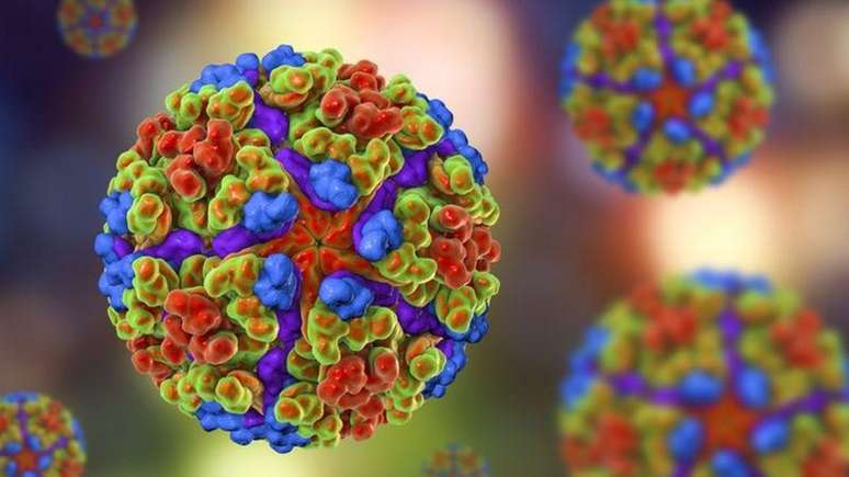 V&iacute;rus chikungunya causa infec&ccedil;&atilde;o que pode evoluir para uma forma cr&ocirc;nica, marcada por fortes dores nas articula&ccedil;&otilde;es
