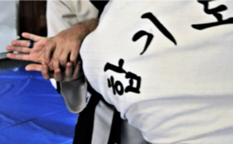 Hapkido o que é e quem pode praticar