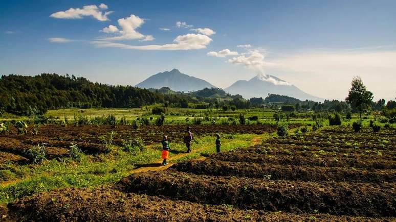 Ruanda ocupa a sexta posição no Índice de Igualdade de Gênero Global