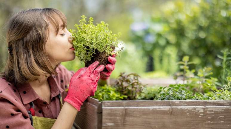 Uma horta é casa com PANCs é uma ótima forma de vencer aquele problema da falta de variedade na dieta - Shutterstock