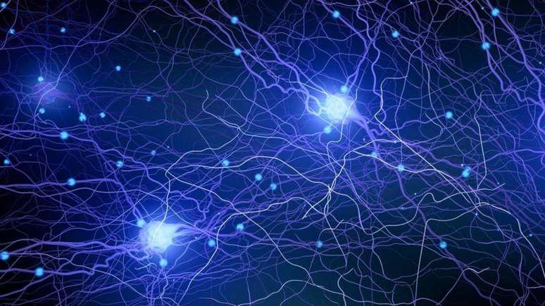 A zona incerta se comunica com quase todos os centros dos circuitos neurais