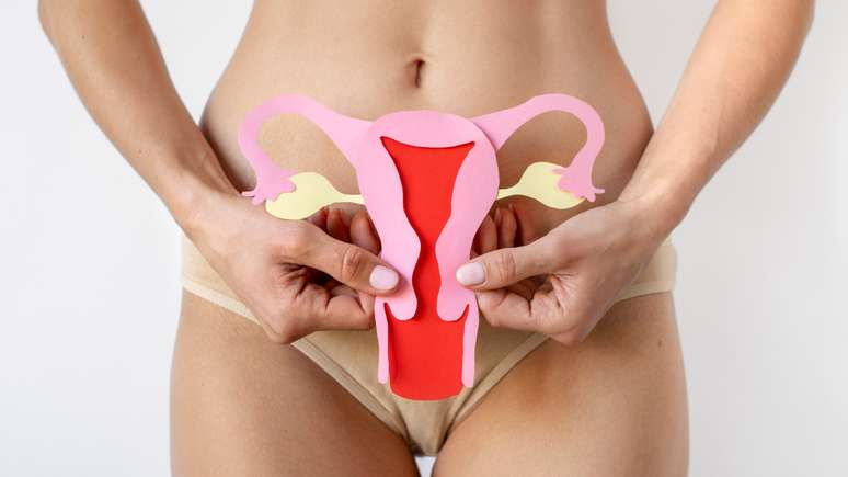 Estudo avalia se endometriose pode estar relacionada com bactérias 