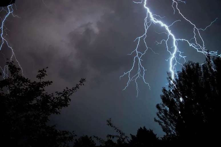 Trees are not safe havens from lightning, so don't stand under them during a thunderstorm (Image: Jonas Kaiser/Unsplash)