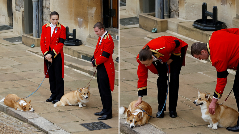 Sandy e Muick na entrada do castelo de Windsor durante o funeral de Elizabeth II em setembro de 2022