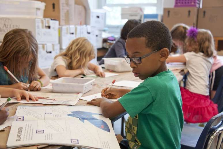 Dia da Educação celebra o aprendizado em diversas áreas da vida