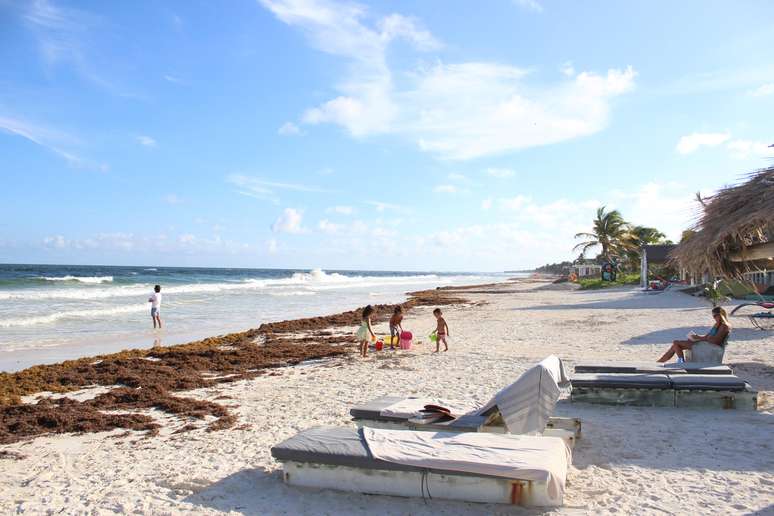 Sargaço em praia de Tulum, no sul da Riviera Maya