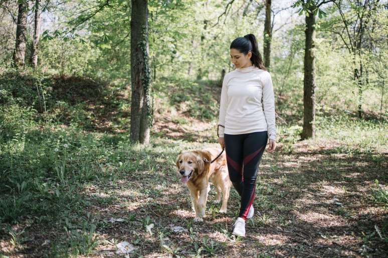 Passear com o cachorro ajuda a prevenir que ele fique doente 