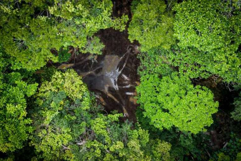 Área de desmatamento identifica pela operação Cupurira, no Pará