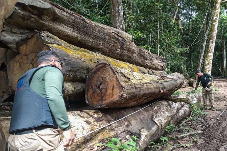 Área de desmatamento identifica pela operação Cupurira, no Pará