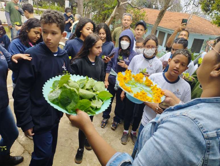 A ONG Prato Verde Sustentável recebe alunos de escolas da região para educação ambiental na horta