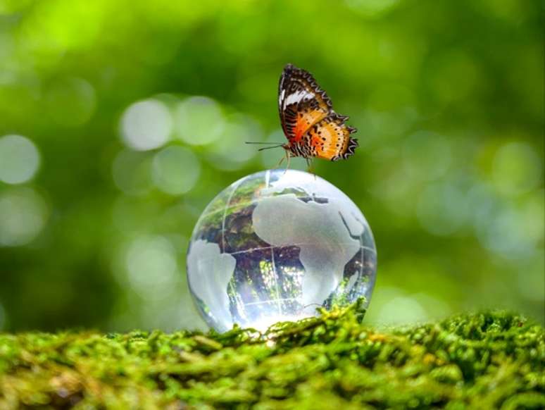 Earth Day calls for solutions to fight climate change