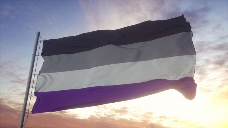 Saiba o que é ser assexual, cores da bandeira e mais