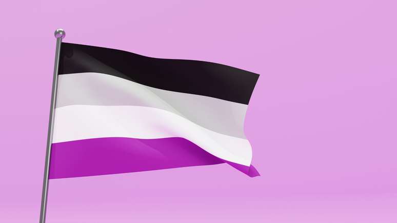 Saiba o significado das cores da bandeira assexual