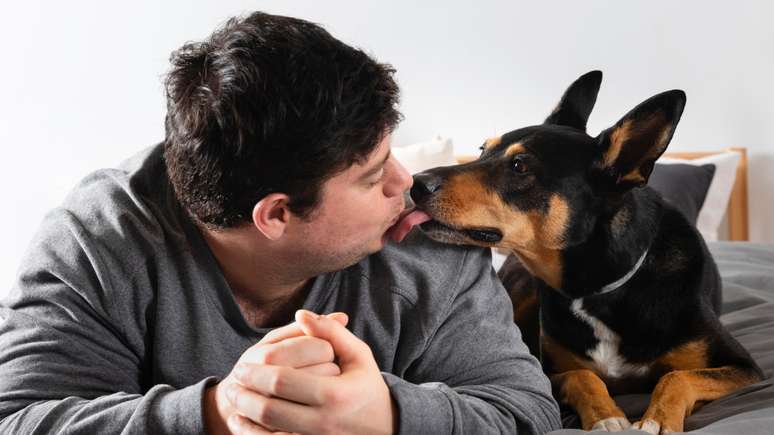 Licking is a sign of affection, but it can be dangerous: diseases transmitted by animal saliva