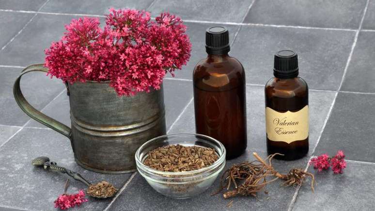 Um dos extratos de ervas mais populares &eacute; a raiz da valeriana