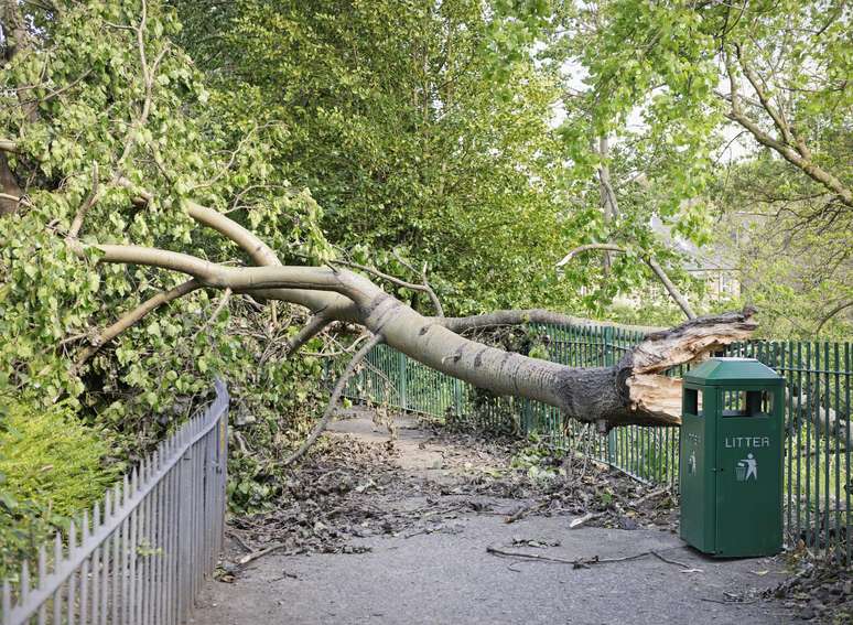 Modelos meteorológicos são usados ​​para ajudar a prevenir grandes tragédias em locais de emergência climática