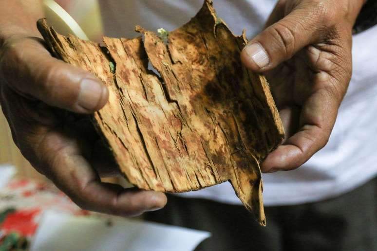 'Quina', na língua quéchua, significa 'casca das cascas'