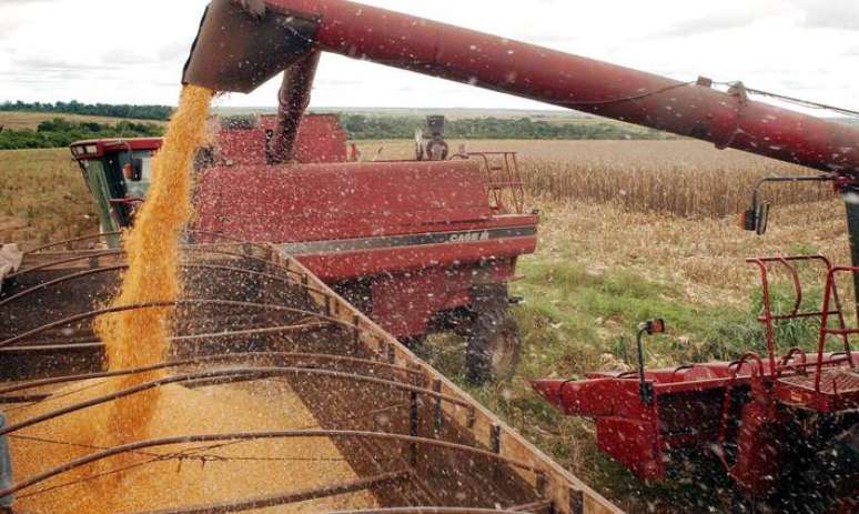 A atividade agrícola foi uma das grandes responsáveis pelo desempenho no período.