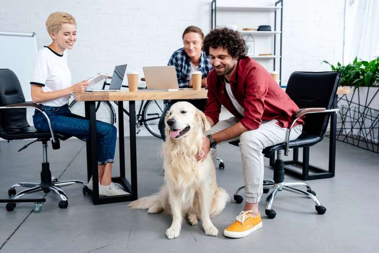 Levar os pets para o escritório torna o ambiente mais agradável