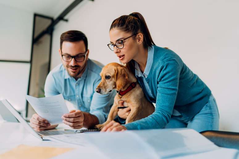 É importante gerar distrações para o pet durante o trabalho 