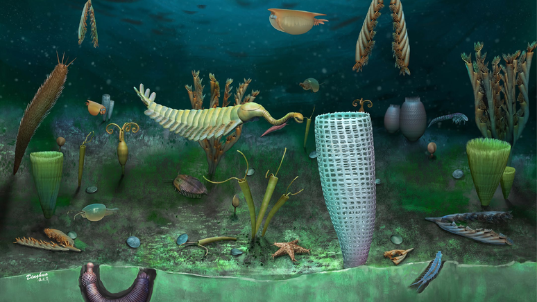 Unprecedented 462 million year old fossil found in Wales