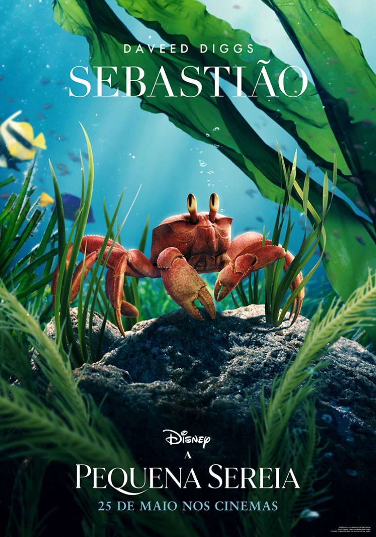 A Pequena Sereia 2023 Tudo Sobre A Estreia Do Live Action