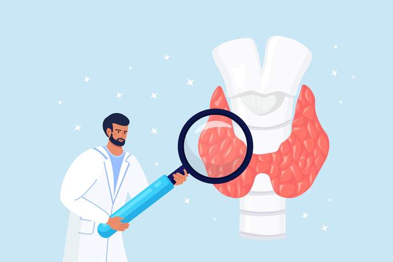 As disfun&ccedil;&otilde;es na tireoide s&atilde;o mais recorrentes entre as mulheres 