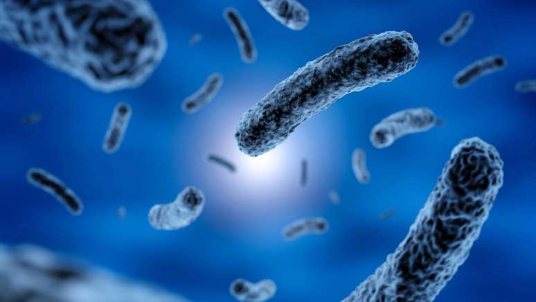 Common bacteria found in water may be the main cause of Parkinson’s disease