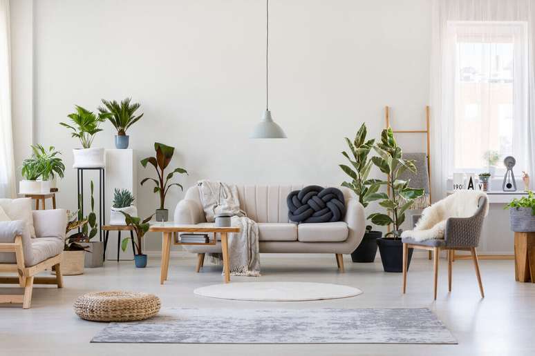 The wooden furniture helps to bring the autumnal atmosphere into the rooms. 