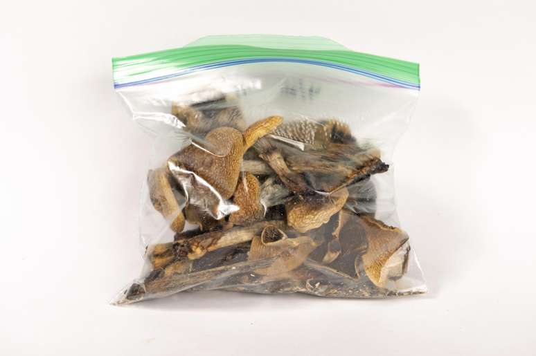 Sites de venda de cogumelos se multiplicaram no Brasil