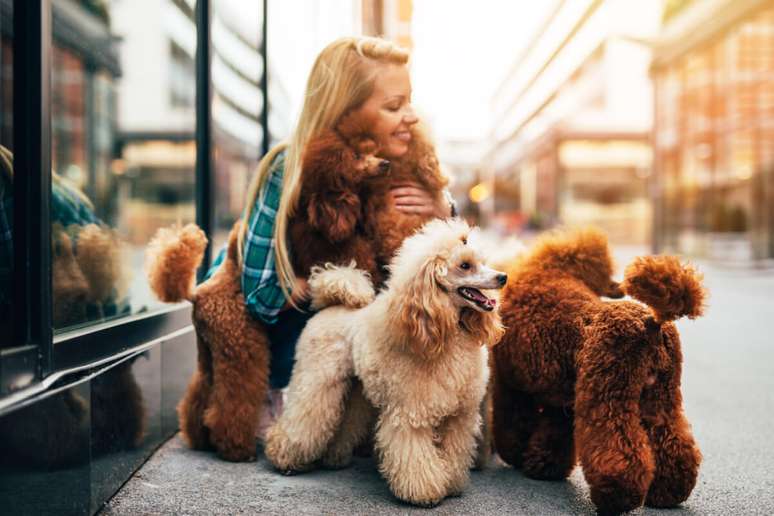 Um pet sitter pode ser a melhor companhia para o seu bichinho quando você estiver ausente 