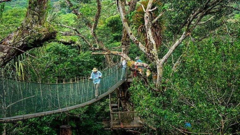 Existem no Peru cerca de 200 pontes suspensas inspiradas na tecnologia inca