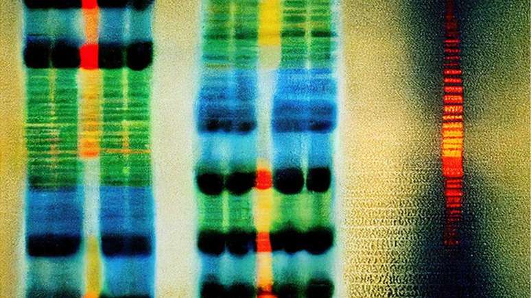 Os genes que compõem o DNA humano são formados por sequências químicas