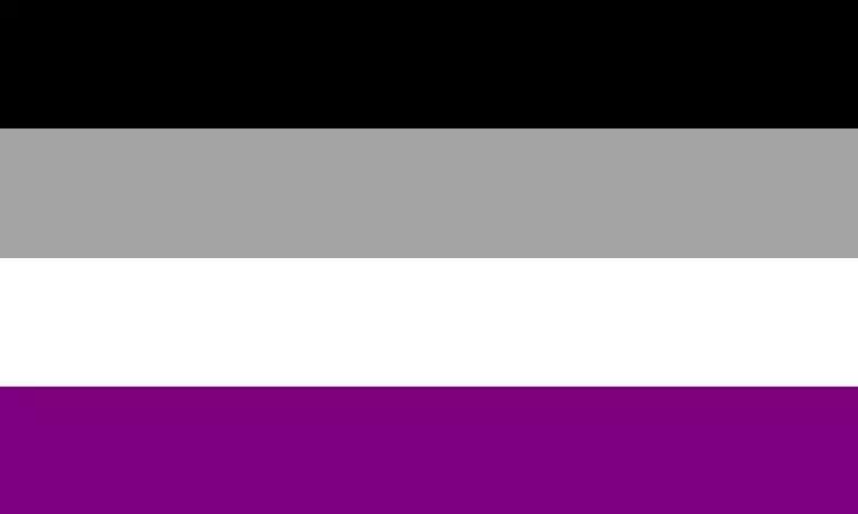 Na bandeira assexual, a assexualidade é representada pela faixa preta
