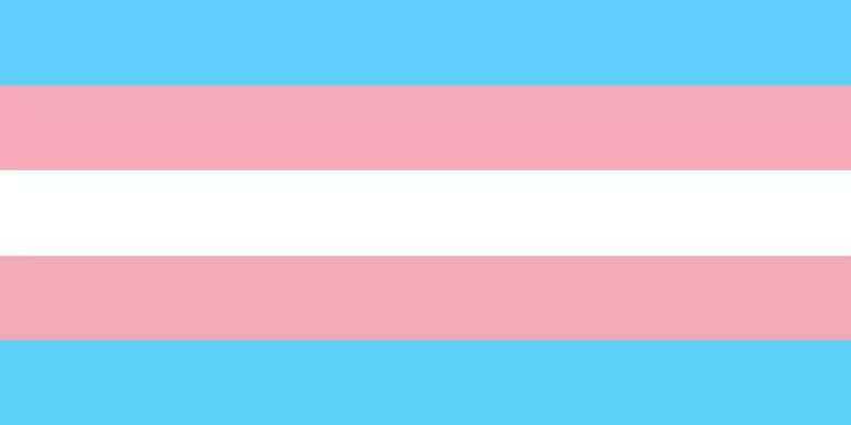 Bandeira trans foi criada em 1999 por Monica Helms, uma mulher trans estadunidense