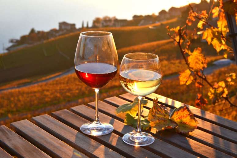 O outono é uma ótima oportunidade para saborear diferentes tipos de vinhos
