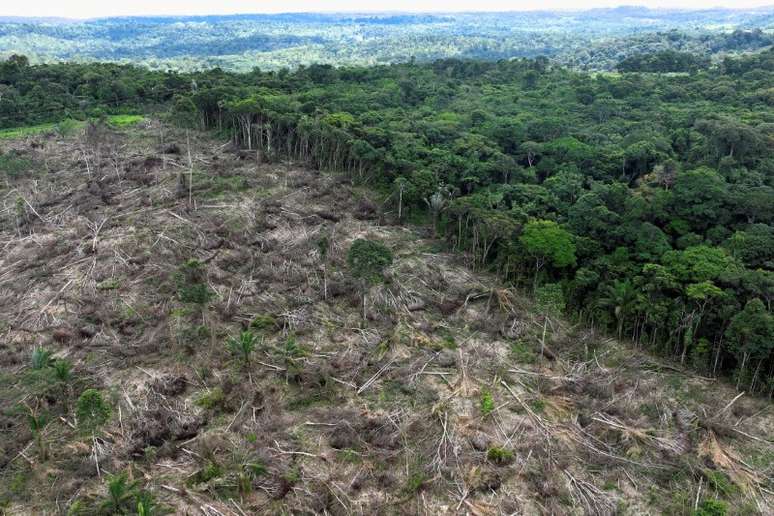 Vista aérea de trecho desmatado no Estado do Pará
21/01/2023
REUTERS/Ueslei Marcelino