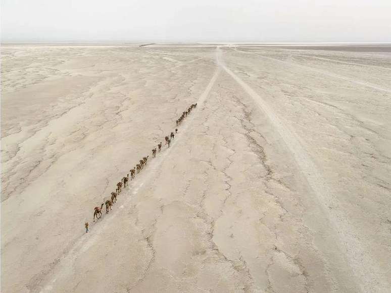 Caravana de camelos #1, Depress&atilde;o de Danakil, Eti&oacute;pia, 2018.