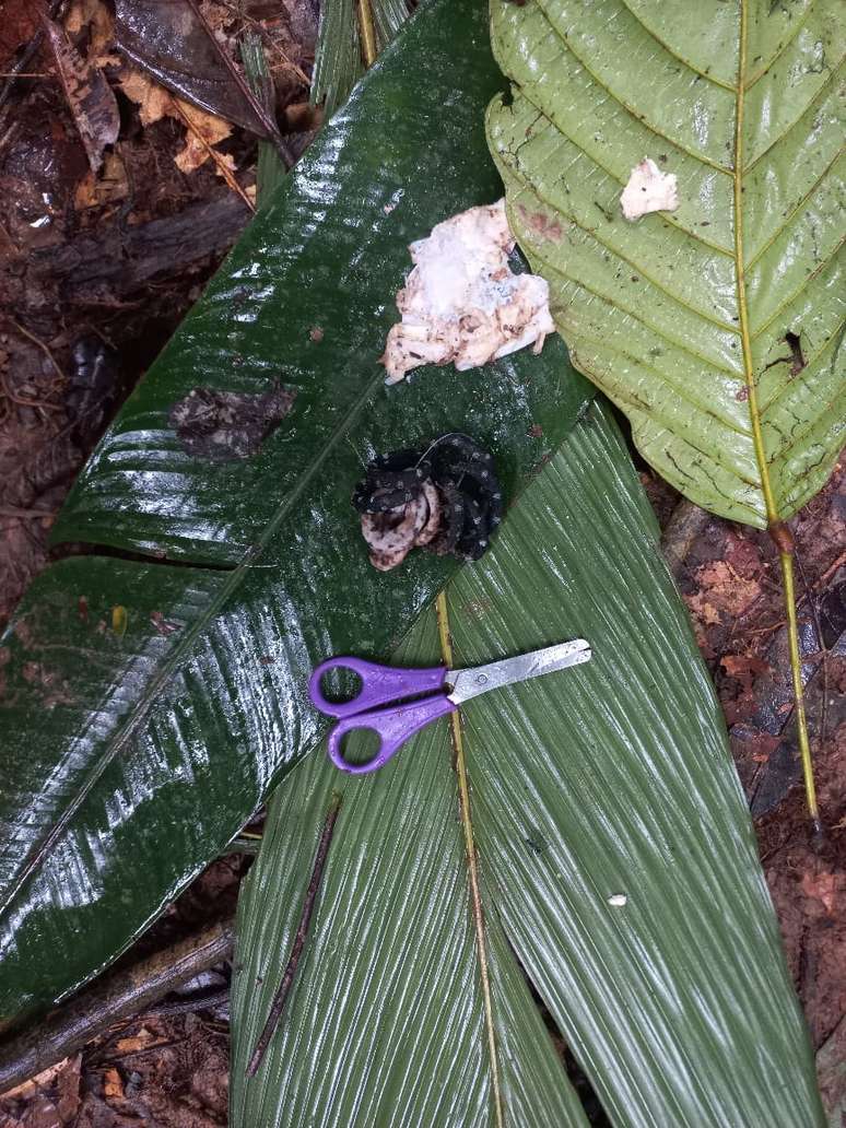 Militares encontraram tesoura e pertences que levaram a suspeita de haver pessoas vivas