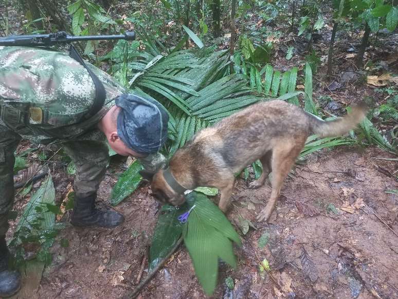 Militares seguem com as buscas