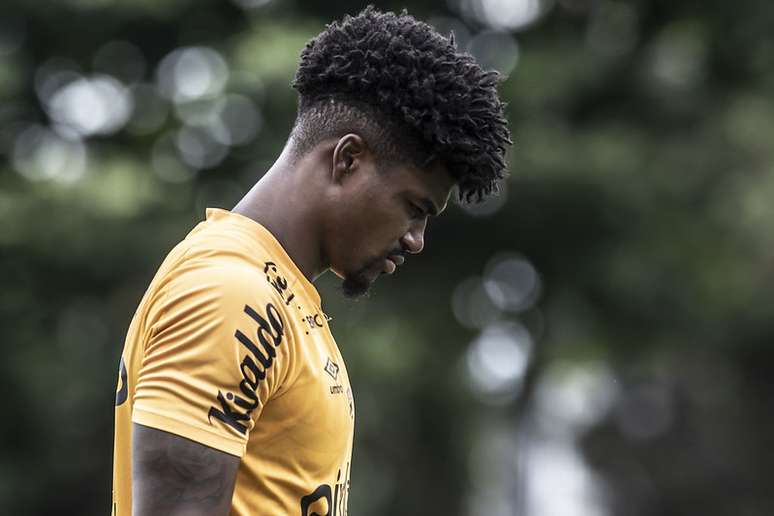 Conversas de Bauermann com Leandro Almeida s&atilde;o investigadas por promotores de Justi&ccedil;a no esc&acirc;ndalo da m&aacute;fia das apostas &ndash;