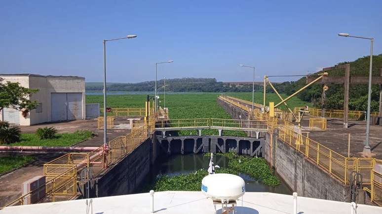 Plantas impedem navegação turística e prejudicam a pesca em trechos do Rio Tietê em Barra Bonita e no reservatório de Anhembi, no interior de São Paulo