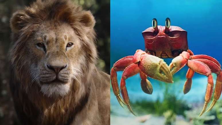 5 filmes com animais falantes - Notícias de cinema - AdoroCinema