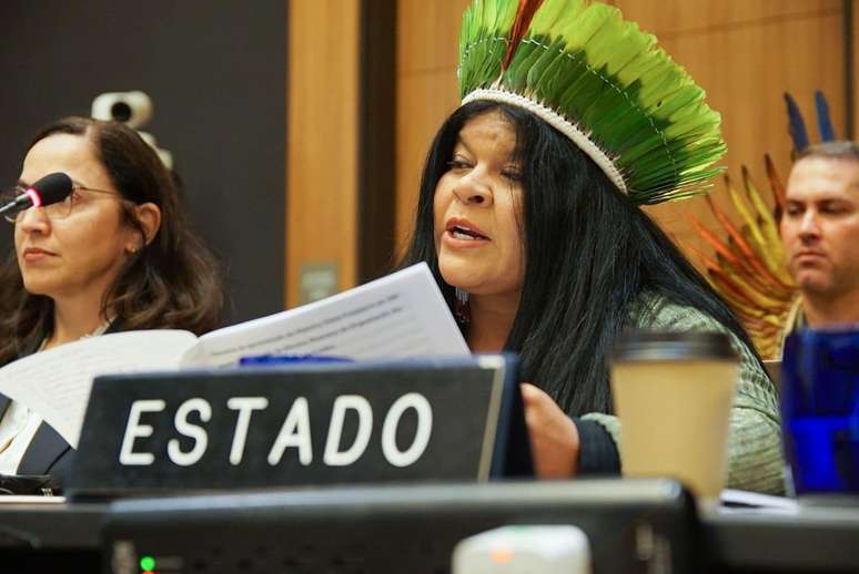 Ministra dos Povos Indígenas, Sônia Guajajara declarou estar desapontada com Lula